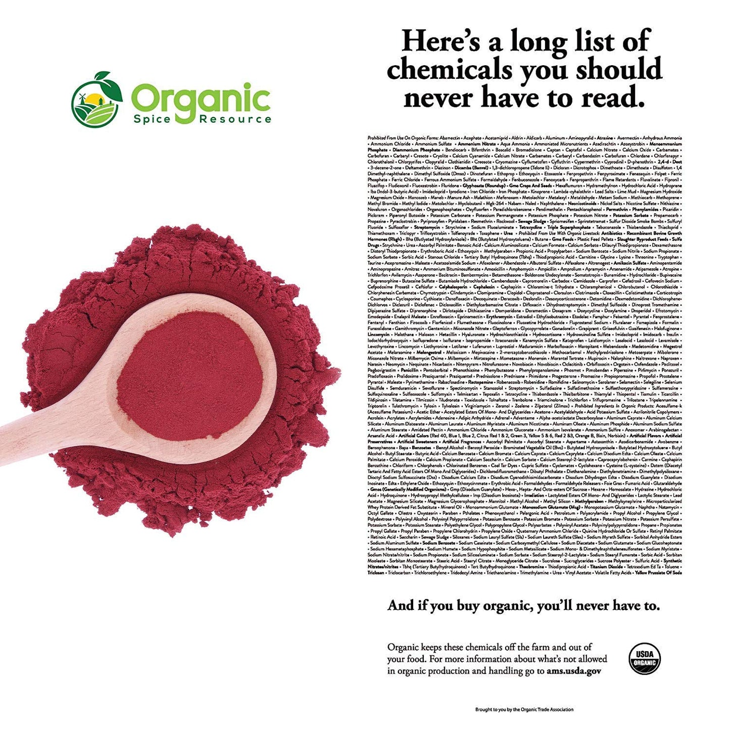 8 oz Organic Beet Root Powder - USDA Certified, Vegan, Non GMO - Nitric Oxide Booster for Stamina & Circulation - Raw from India by SHOPOSR