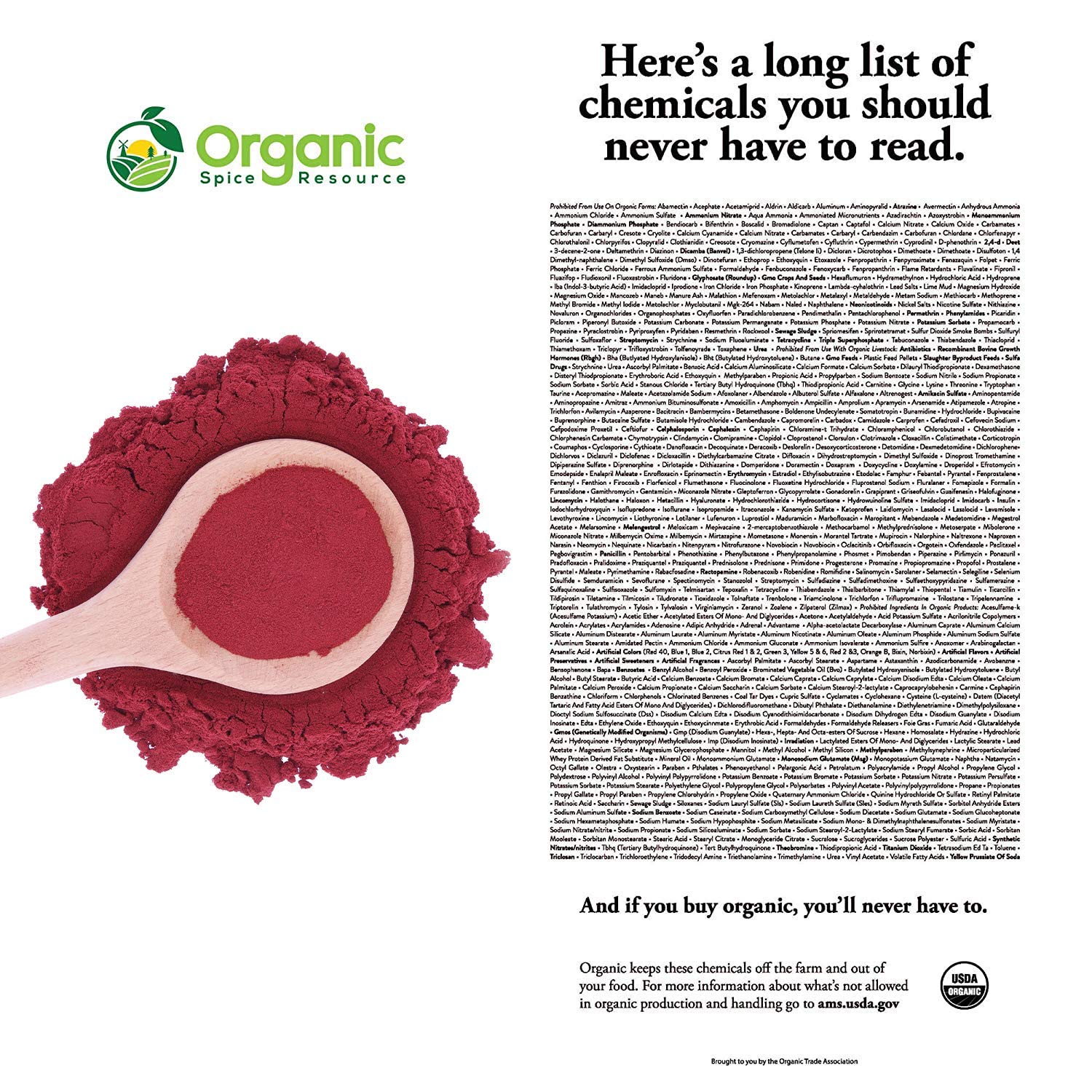 8 oz Organic Beet Root Powder - USDA Certified, Vegan, Non GMO - Nitric Oxide Booster for Stamina & Circulation - Raw from India by SHOPOSR