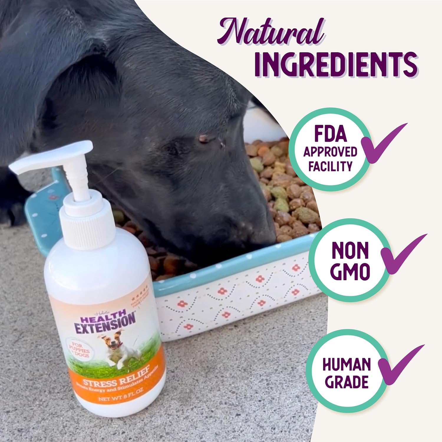 8oz Health Extension Stress Relief Supplement for Dogs with Appetite & Energy Boost - Prevents Hypoglycemia, Enriched with Vitamin B