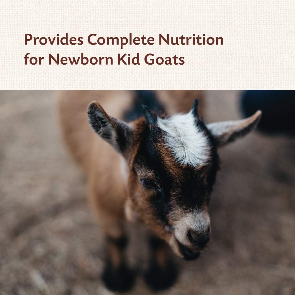 8oz Manna Pro Goat Kid Colostrum Supplement with Vitamins & Minerals - Supports Healthy Development in First 24 Hours