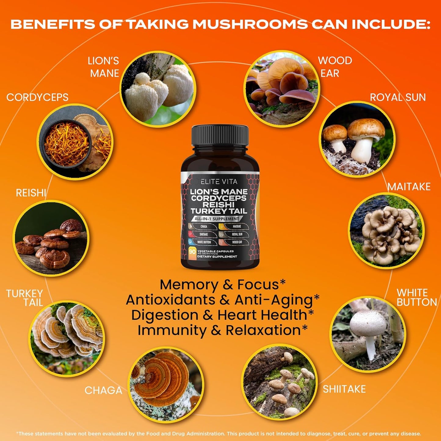 90 Capsules Elite Vita Nootropic Mushroom Blend Supplement for Enhanced Focus and Cognitive Support