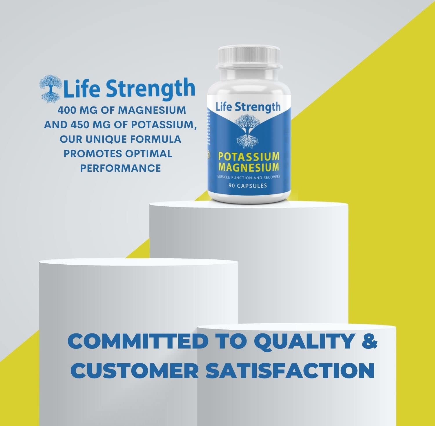 90 Capsules LifeStrength Magnesium Potassium Complex Supplement for High Absorption & Vascular Health