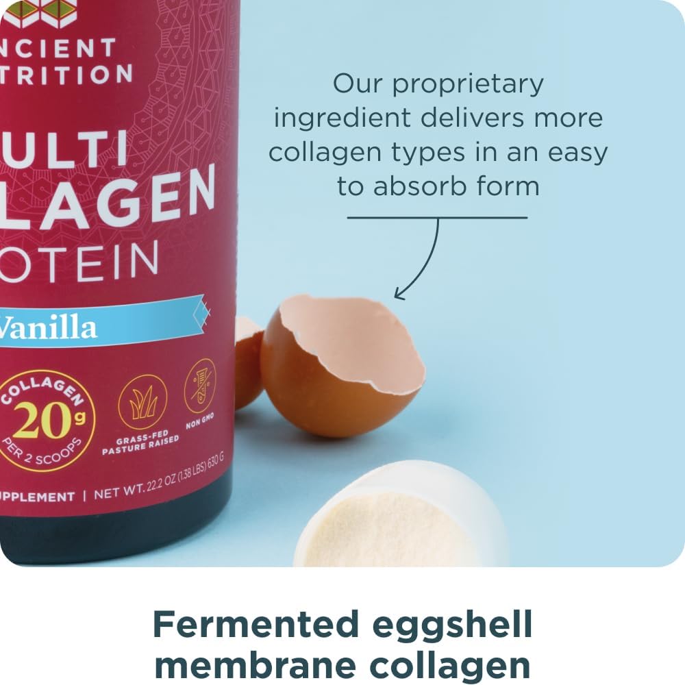 90 Count Multi Collagen Capsules + 60 Servings Vanilla Multi Collagen Protein Powder by Ancient Nutrition