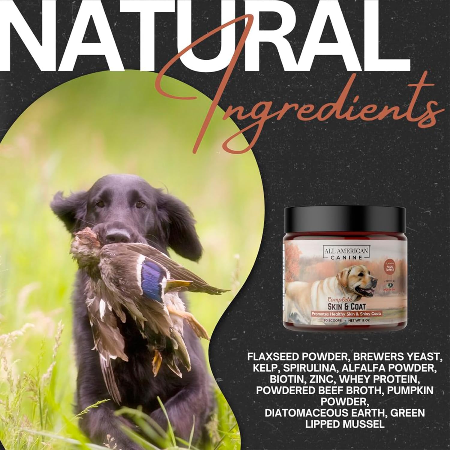 90 Servings All American Canine Skin & Coat Natural Protein Powder Supplement