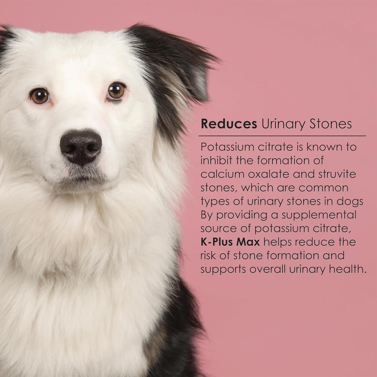 90 Soft Chews for Urinary Tract Health - Cranberry, Potassium Citrate, Methionine - Supports UTI, Bladder, Kidney