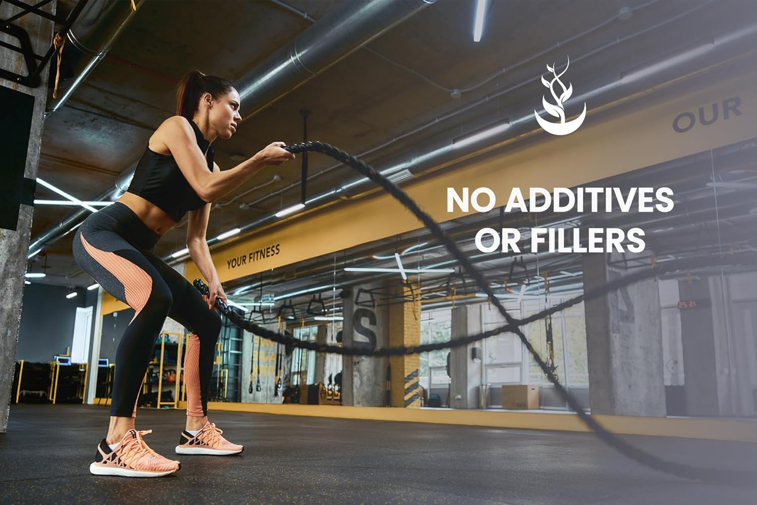 Activated Charcoal Capsules - Pure Ingredients, No Fillers, Lab Verified (365 Count)