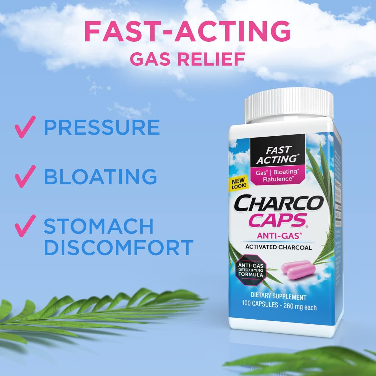 Activated Charcoal Gas Relief Capsules for Bloating & Flatulence - Fast Acting Detox Formula, 100 Capsules