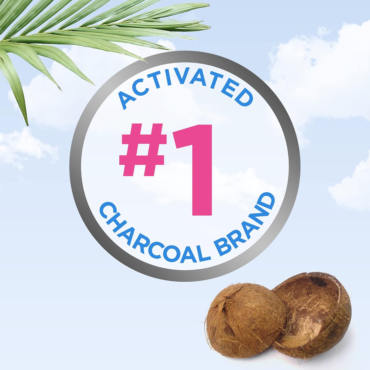 Activated Charcoal Gas Relief Capsules for Bloating & Flatulence - Fast Acting Detox Formula, 100 Capsules