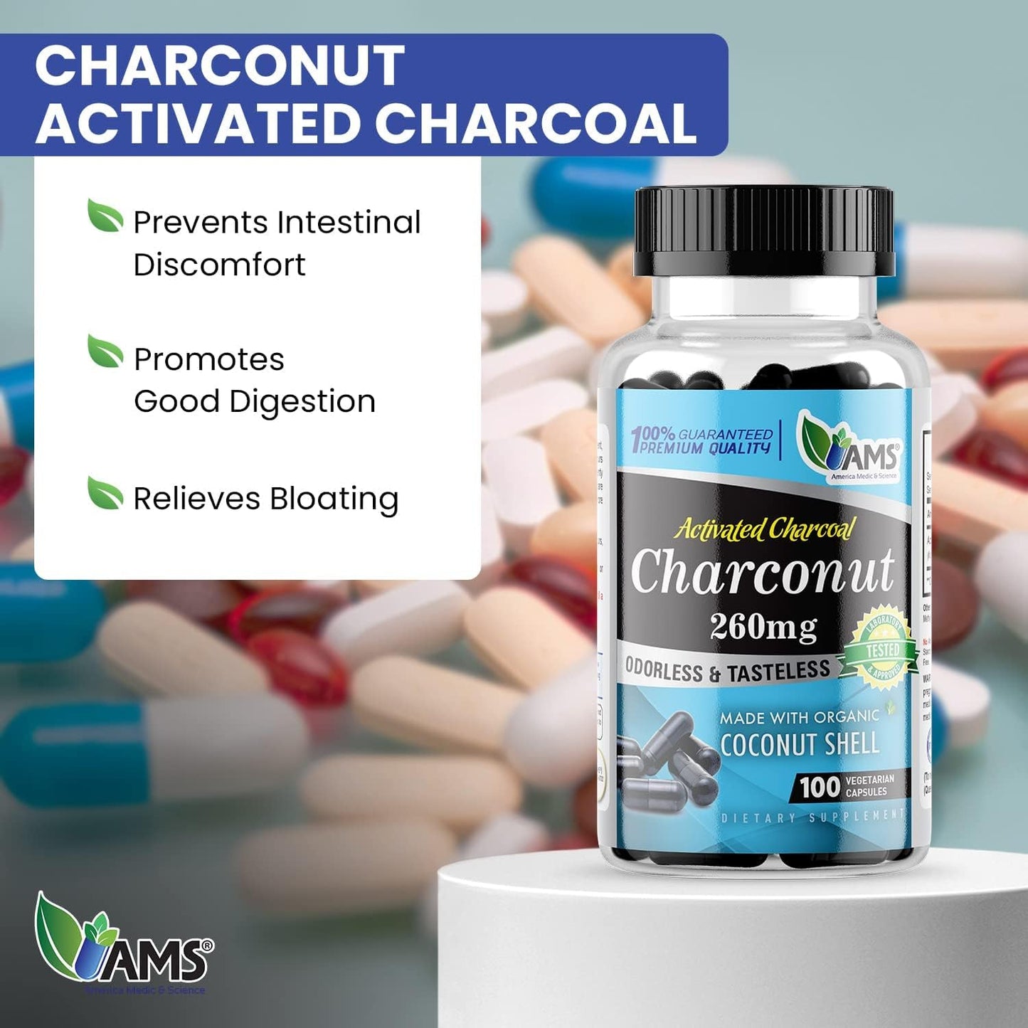 Activated Charcoal Supplement with Coconut Husk for Stomach Health - 200 Capsules