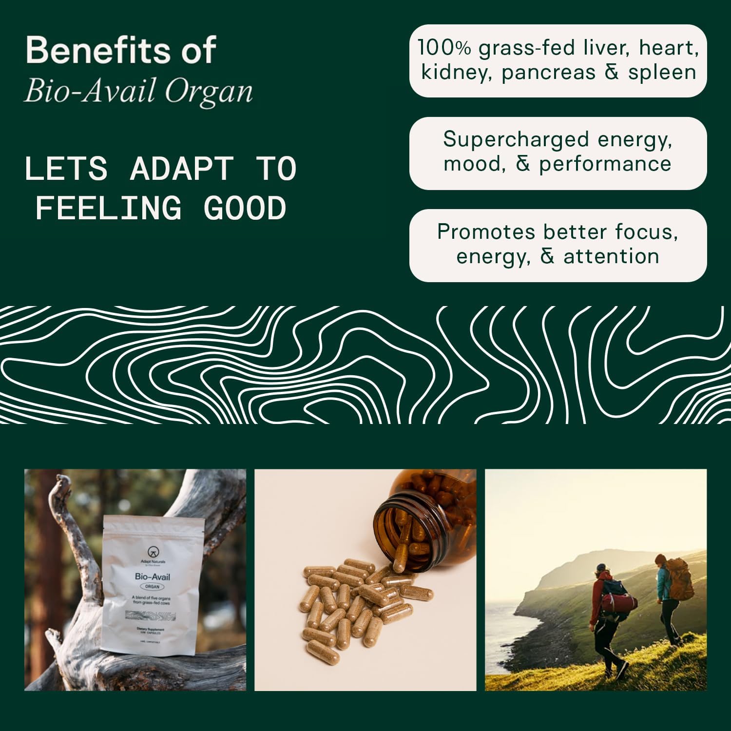 Adapt Naturals Grass Fed Beef Organ Supplement Capsules for Liver Cleanse & Repair - Source of CoQ10 - 30 Day Supply