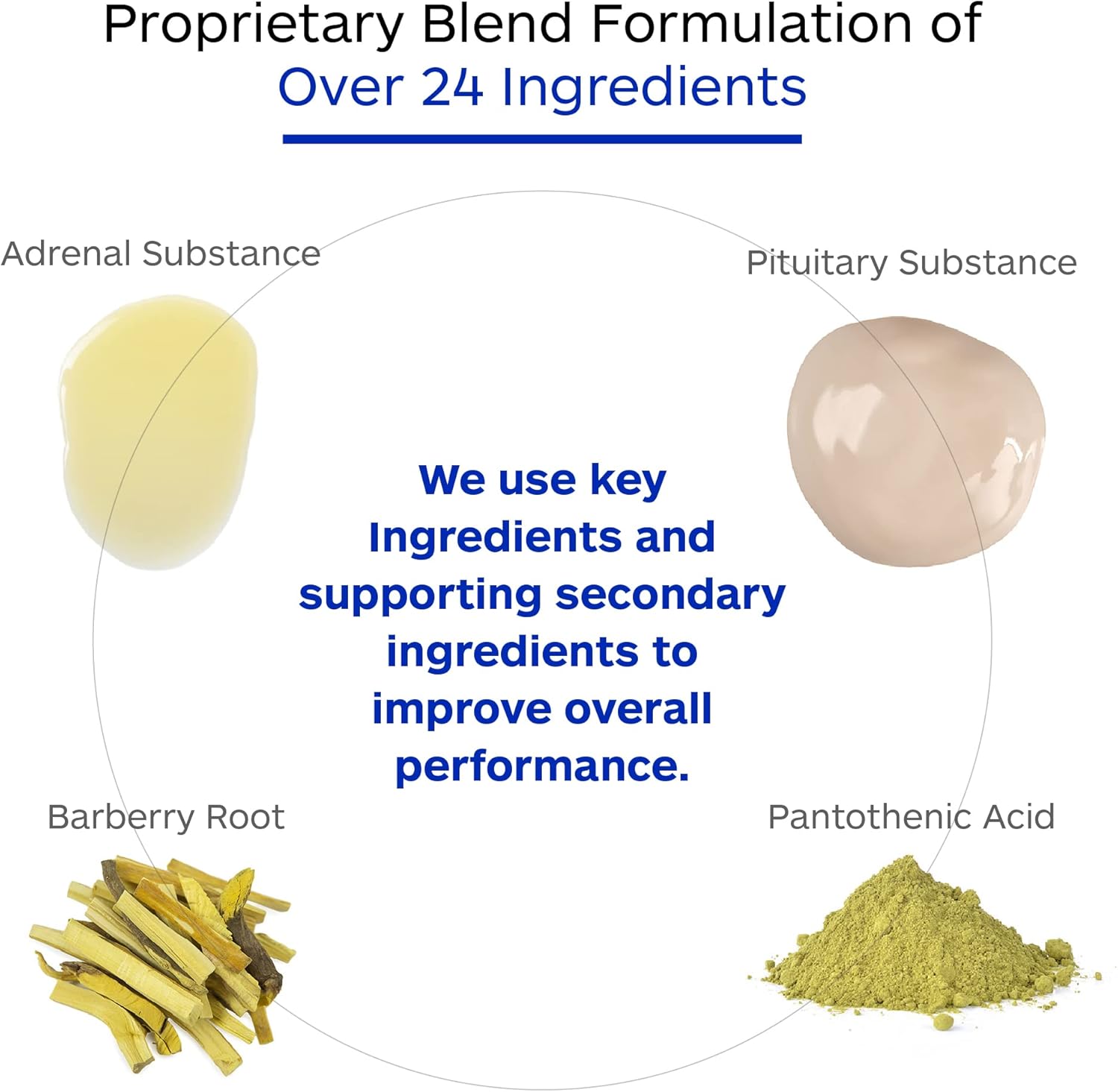 Adrenal Complex Supplement for Healthy Adrenal Function, Stress Relief, Energy - 90 Vegetarian Capsules by Professional Botanicals