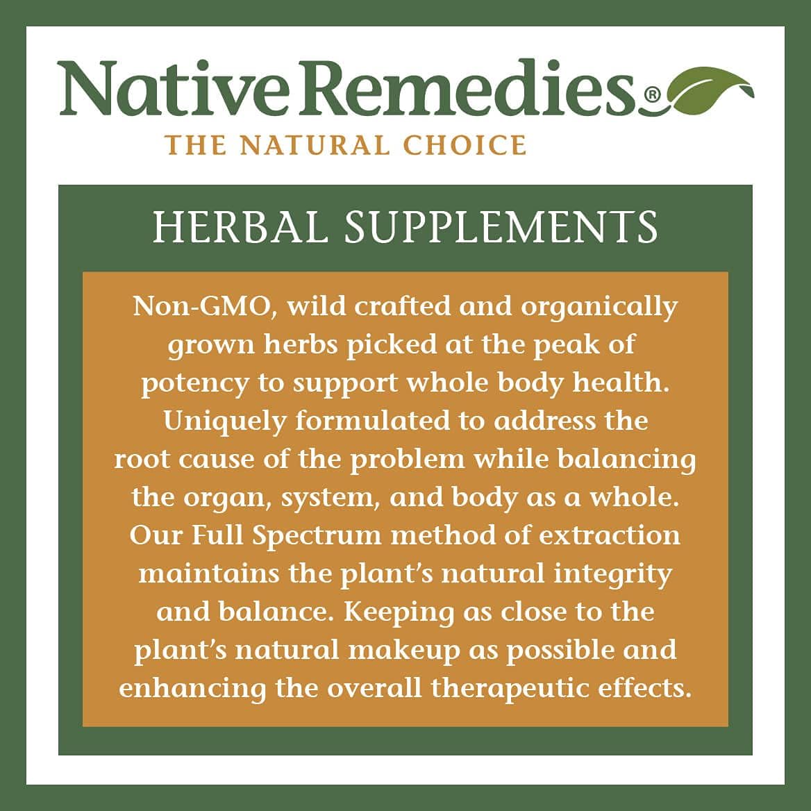 AdrenoBoost Herbal Supplement for Adrenal Support - 2 Fl oz - Natural Remedy