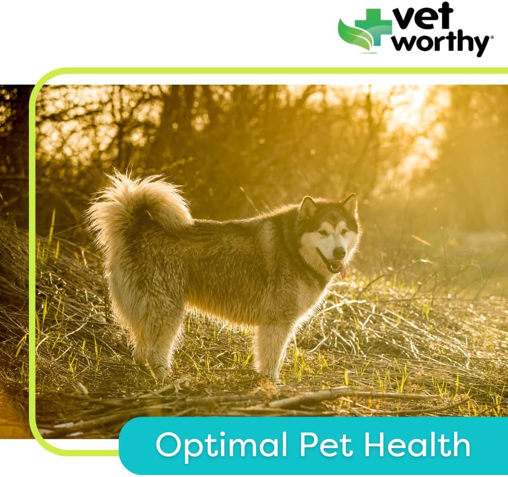 Adult Multi Vitamins for Dogs - Supports Optimal Health & Wellness - Dog Supplement with Iron, Magnesium, Zinc, Vitamin A & B - Liver Flavor, 60 Tablets