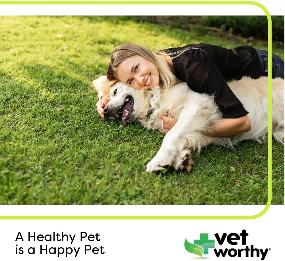 Adult Multi Vitamins for Dogs - Supports Optimal Health & Wellness - Dog Supplement with Iron, Magnesium, Zinc, Vitamin A & B - Liver Flavor, 60 Tablets