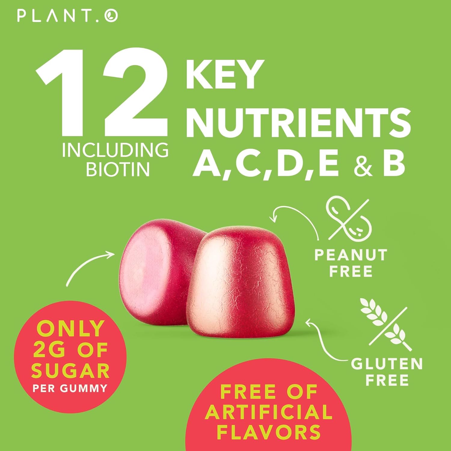 Adult Multivitamin Gummies with Vitamin A B C D E Zinc and Biotin - Energy and Immunity Support - 90 Gluten Free Veggie Gummies