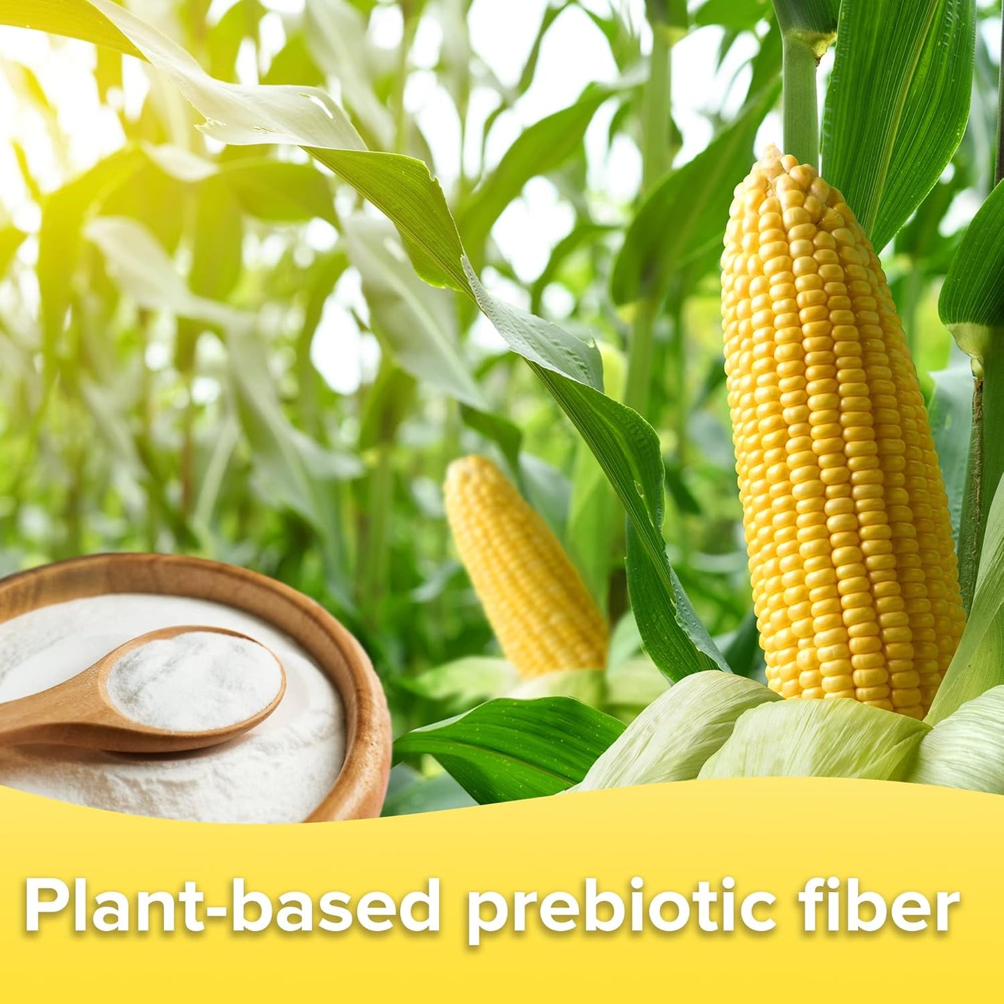 ADVAGEN Prebiotic Fiber Supplement Powder - Unflavored On-The-Go Packets, 30 Servings, Supports Digestive Health, Bloating and Constipation for Men and Women