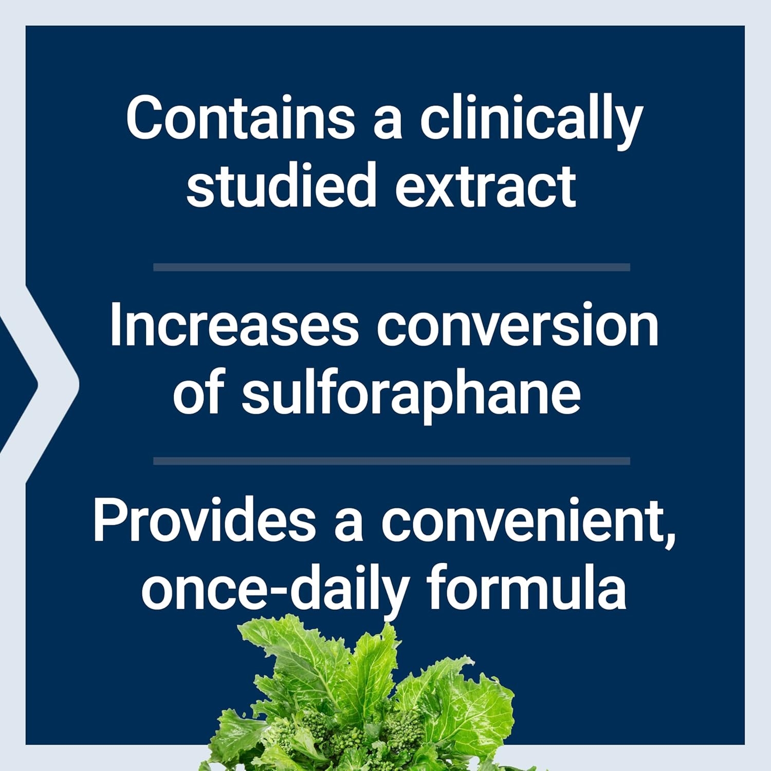 Advanced Bioavailable Life Extension Optimized Broccoli with Myrosinase for Liver and Detox Support - Vegetarian, Non-GMO, Gluten-Free - 30 Capsules