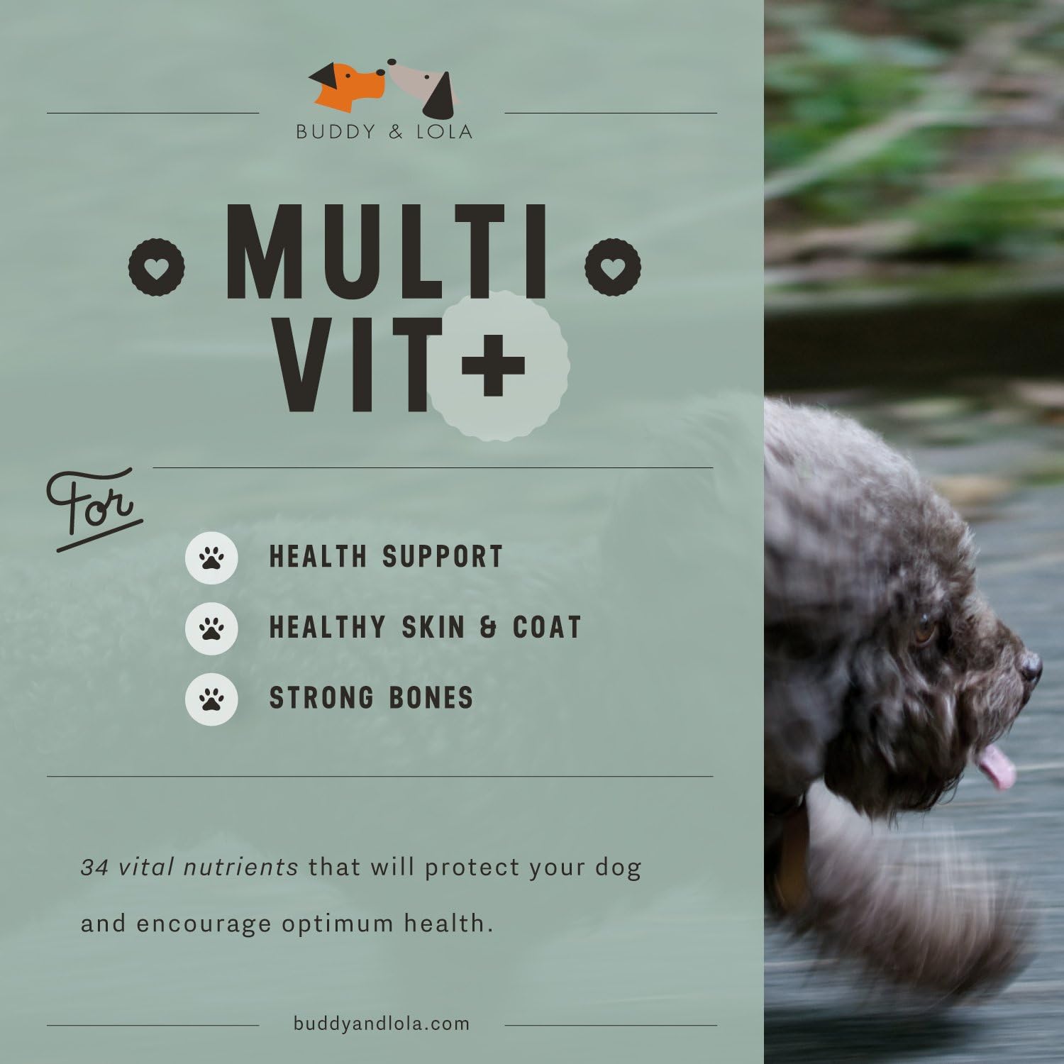 Advanced Daily Multivitamin Supplements for Dogs - 180 Chicken Liver Chewable Tablets - Enhance Dog Health with Nutrients, Calcium, Enzymes, Antioxidants by Buddy & Lola