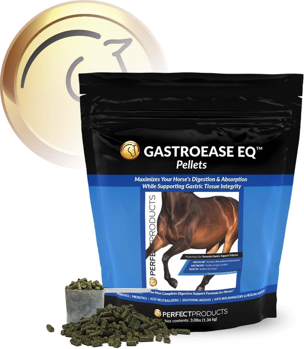 Advanced Gastrointestinal Support Pellets for Horses - 3lb Size