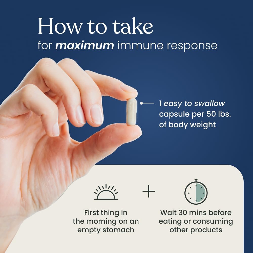 Advanced Immune Support Supplement with Beta Glucan 500 - Immune System Booster - 500mg 60 Capsules