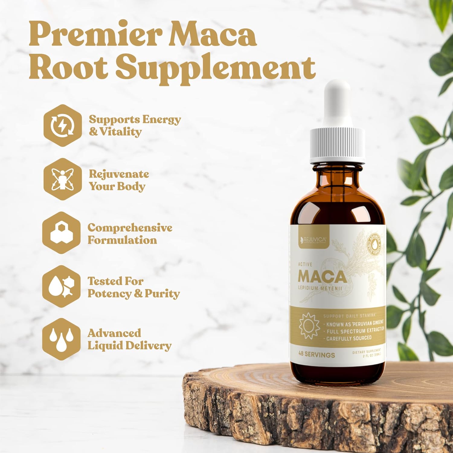 Advanced Liquid Maca Root Extract with Peruvian Ginseng for Enhanced Energy & Vitality - High Absorption Formula by Rejuvica Health