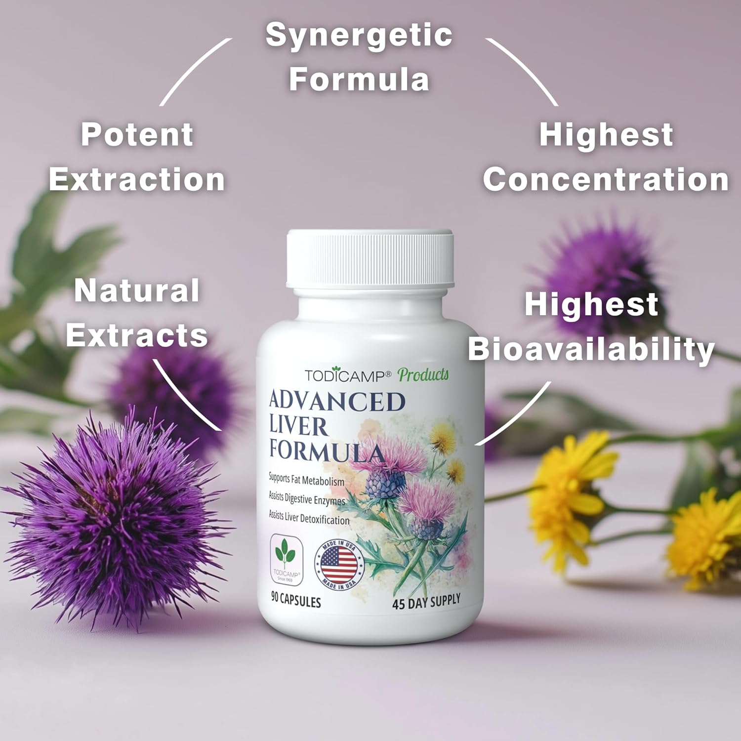 Advanced Liver Detox Capsules with Milk Thistle, Artichoke Extract, and Choline - Liver Cleanse and Repair Supplement for Liver Health and Support - 90 Capsules