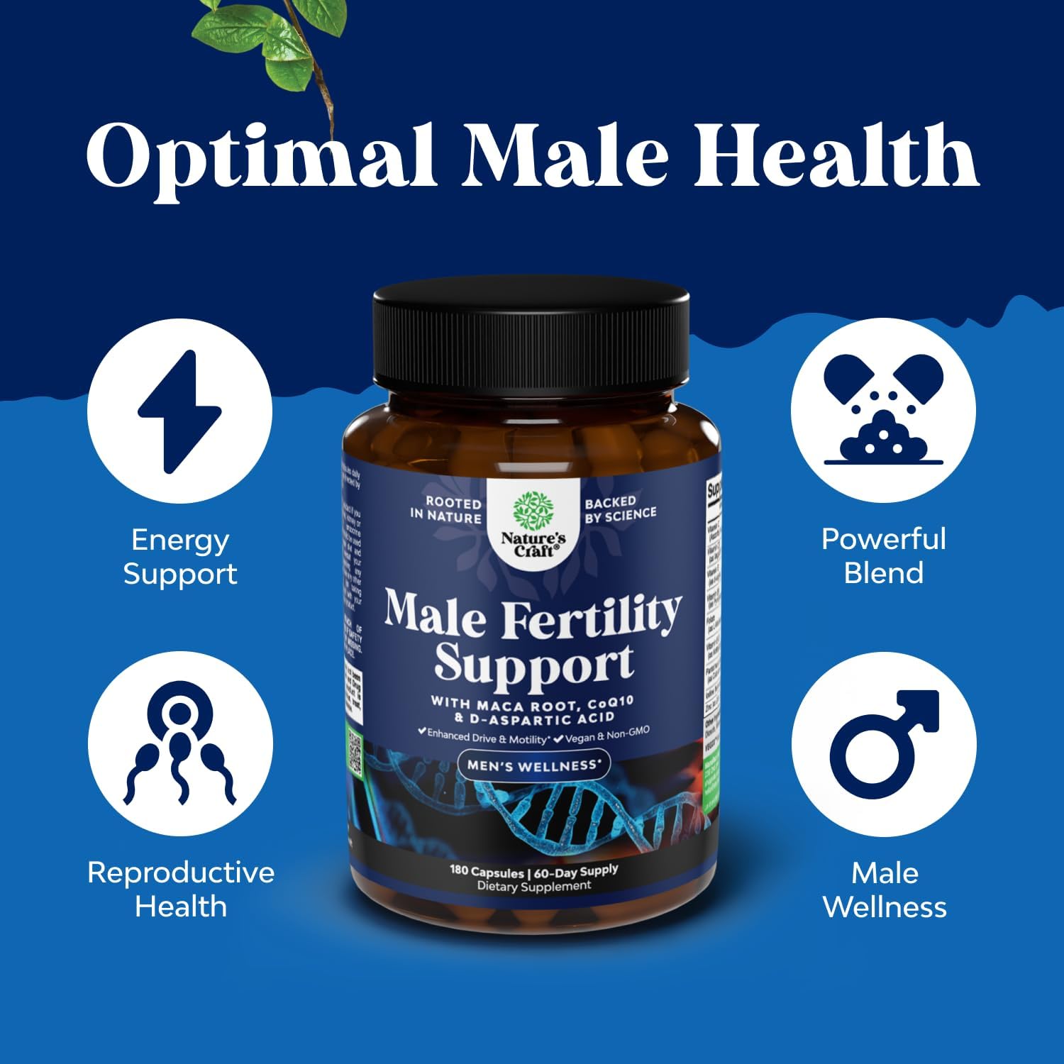 Advanced Male Fertility Supplement with CoQ10, Maca Root, and Methyl Folate - Enhance Count and Motility Support for Pre Conception (2 Months)