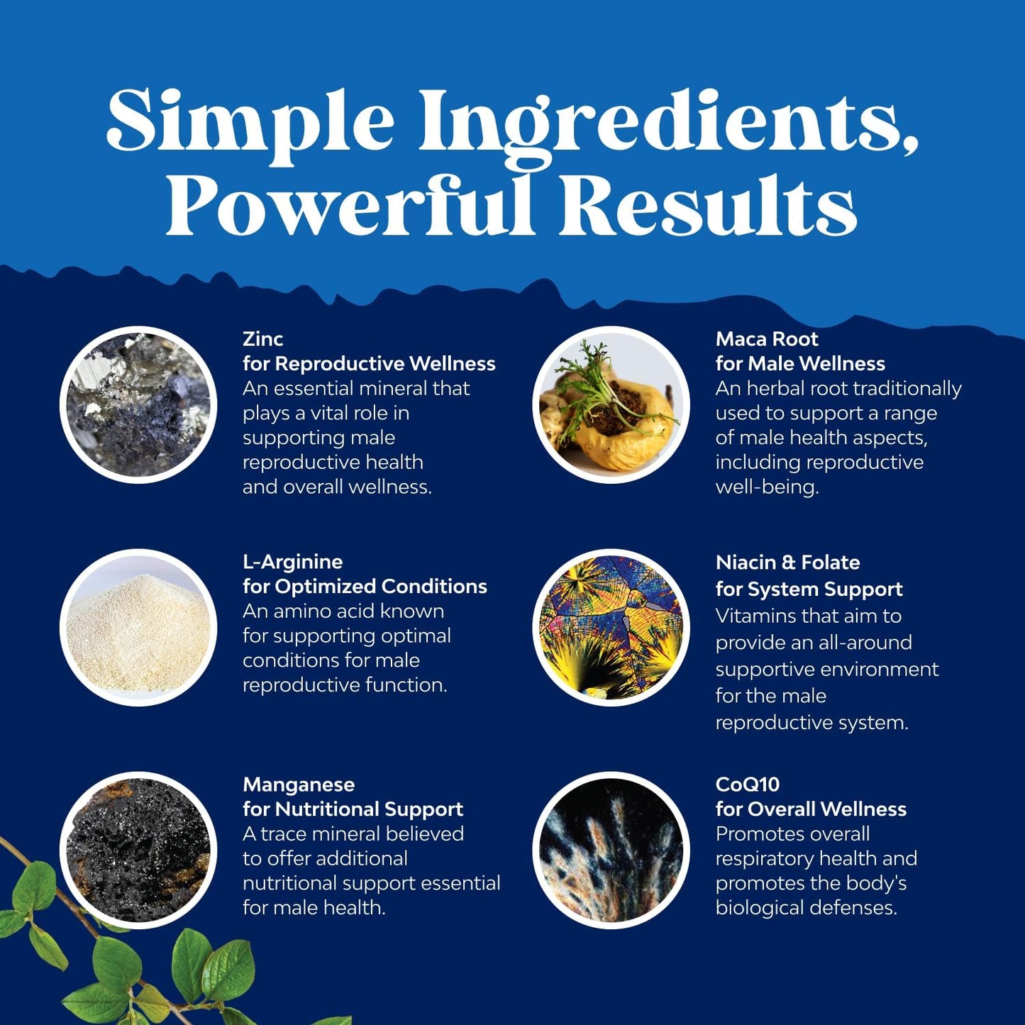 Advanced Male Fertility Supplement with CoQ10, Maca Root, and Methyl Folate - Enhance Count and Motility Support for Pre Conception (2 Months)