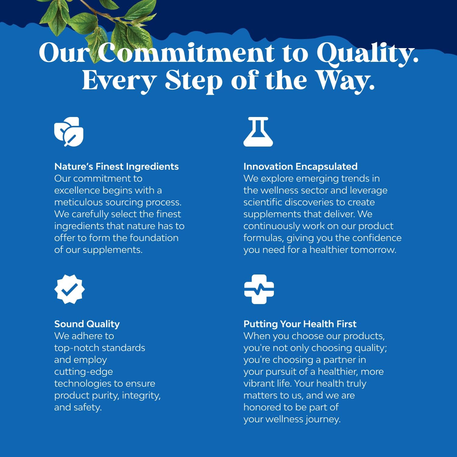 Advanced Male Fertility Supplement with CoQ10, Maca Root, and Methyl Folate - Enhance Count and Motility Support for Pre Conception (2 Months)