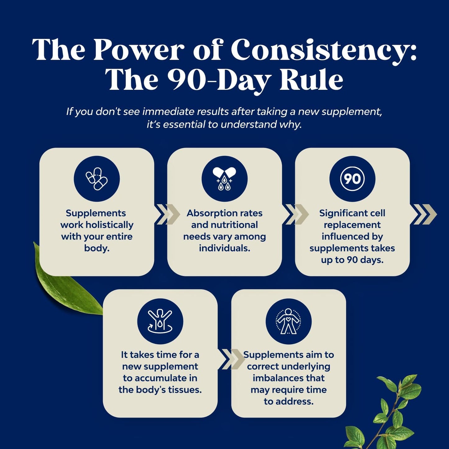 Advanced Male Fertility Supplement with CoQ10, Maca Root, and Methyl Folate - Enhance Count and Motility Support for Pre Conception (2 Months)