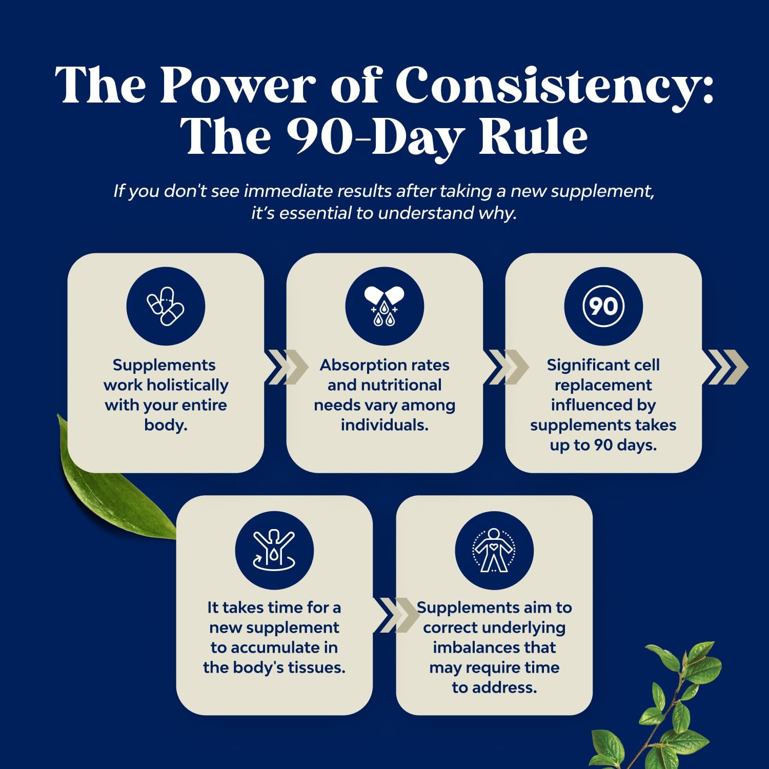 Advanced Male Fertility Supplement with CoQ10, Maca Root, and Methyl Folate - Enhance Count and Motility Support for Pre Conception (2 Months)