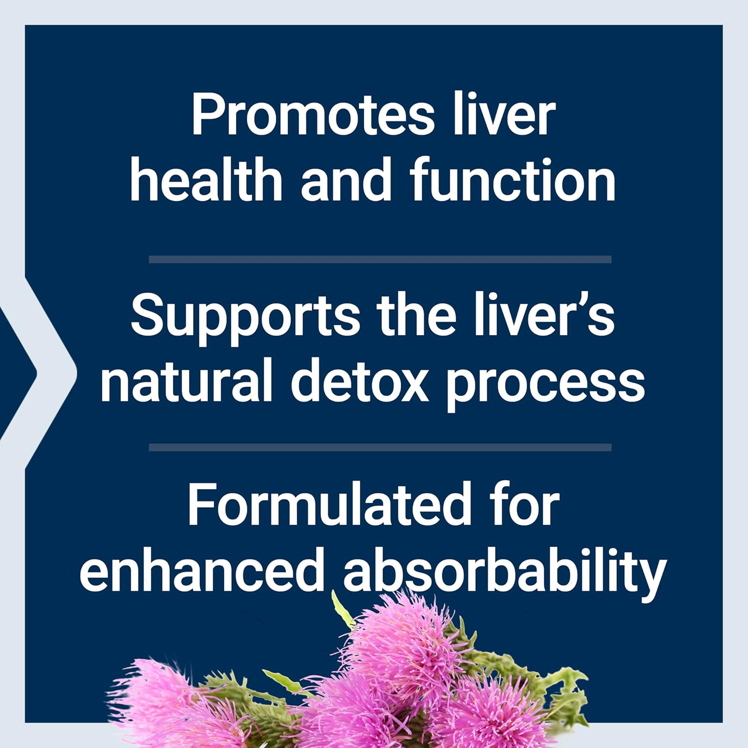 Advanced Milk Thistle & Magnesium Combo for Liver & Heart Health, Detox Support, Strong Bones - 120 Softgels & 500mg Capsules