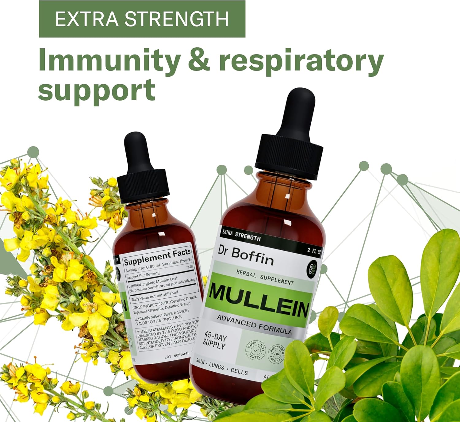 Advanced Mullein Leaf Liquid Extract - 2 FL OZ | Extra Strength Lung Cleanse & Detox Supplement - Respiratory Health & Immune Support