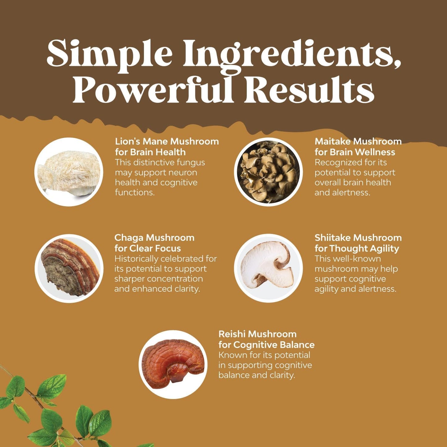 Advanced Mushroom Supplement for Brain Health & Mental Clarity - Lions Mane Capsules with Reishi, Chaga, Maitake & Shiitake - Memory Support & Focus - 30 Capsules