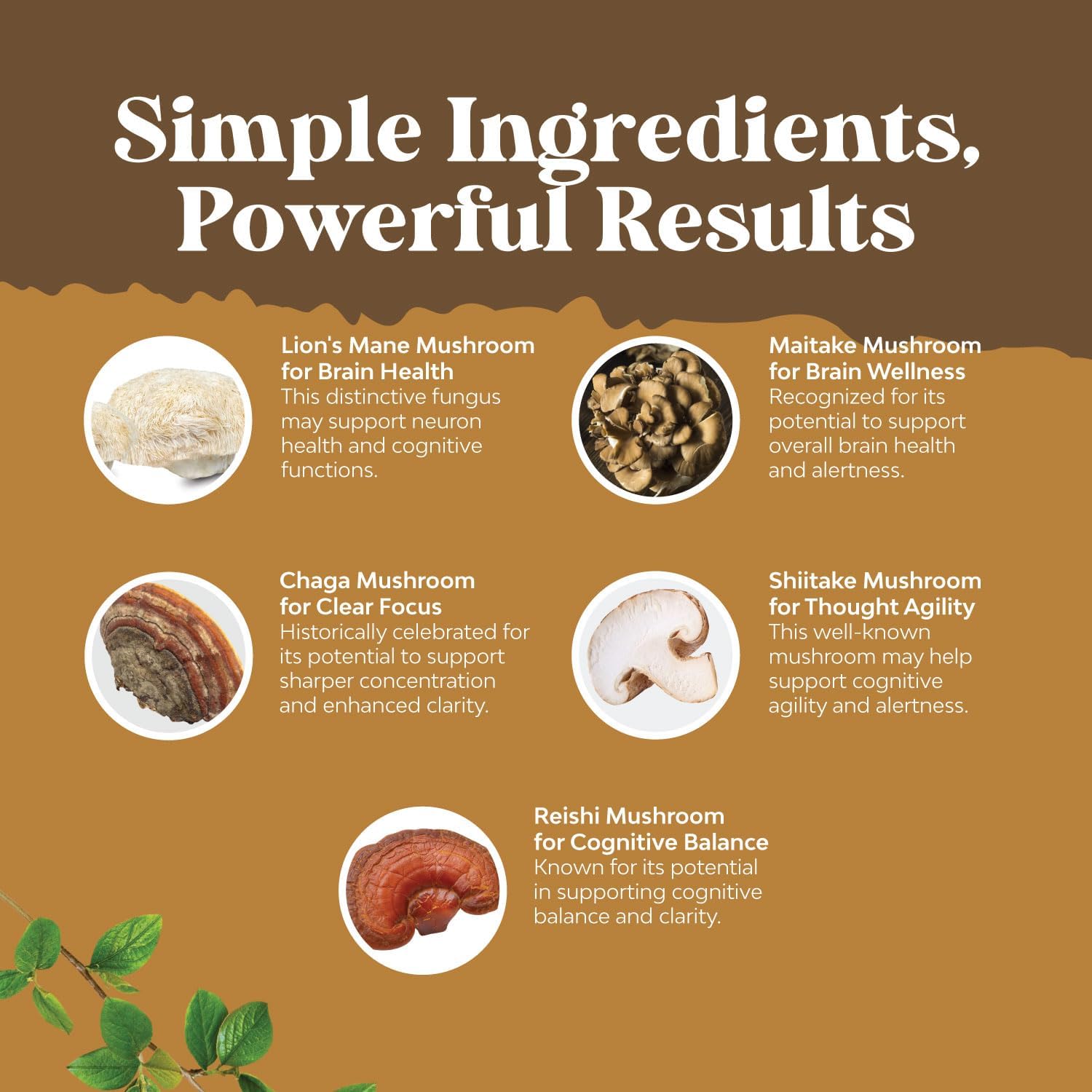 Advanced Mushroom Supplement for Brain Health & Mental Clarity - Lions Mane Capsules with Reishi, Chaga, Maitake & Shiitake - Memory Support & Focus - 30 Capsules