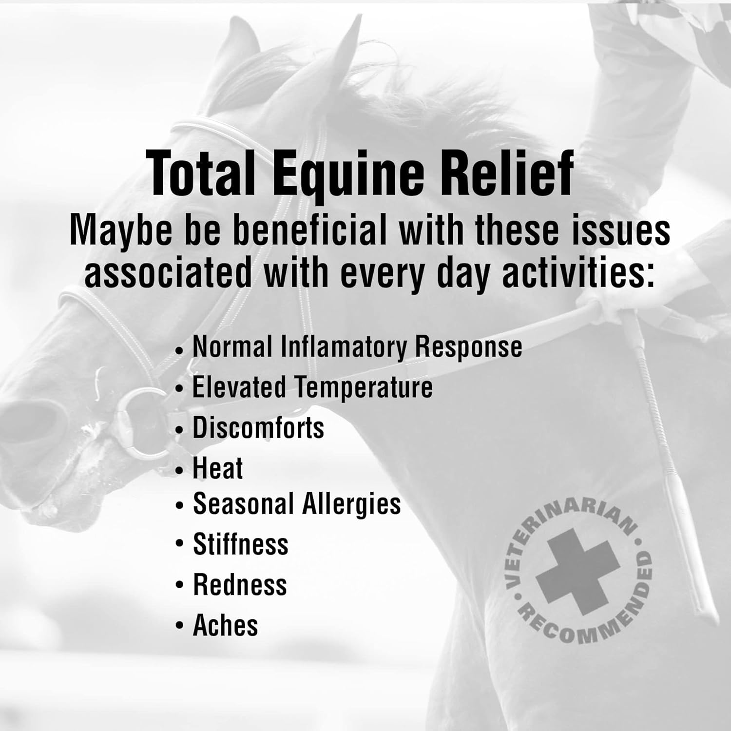 Advanced Powder Supplement for Horse Joint, Ligament, and Tendon Support - With Vitamin C, Collagen, and MSM - Enhances Elasticity and Strength - 30 Day Supply