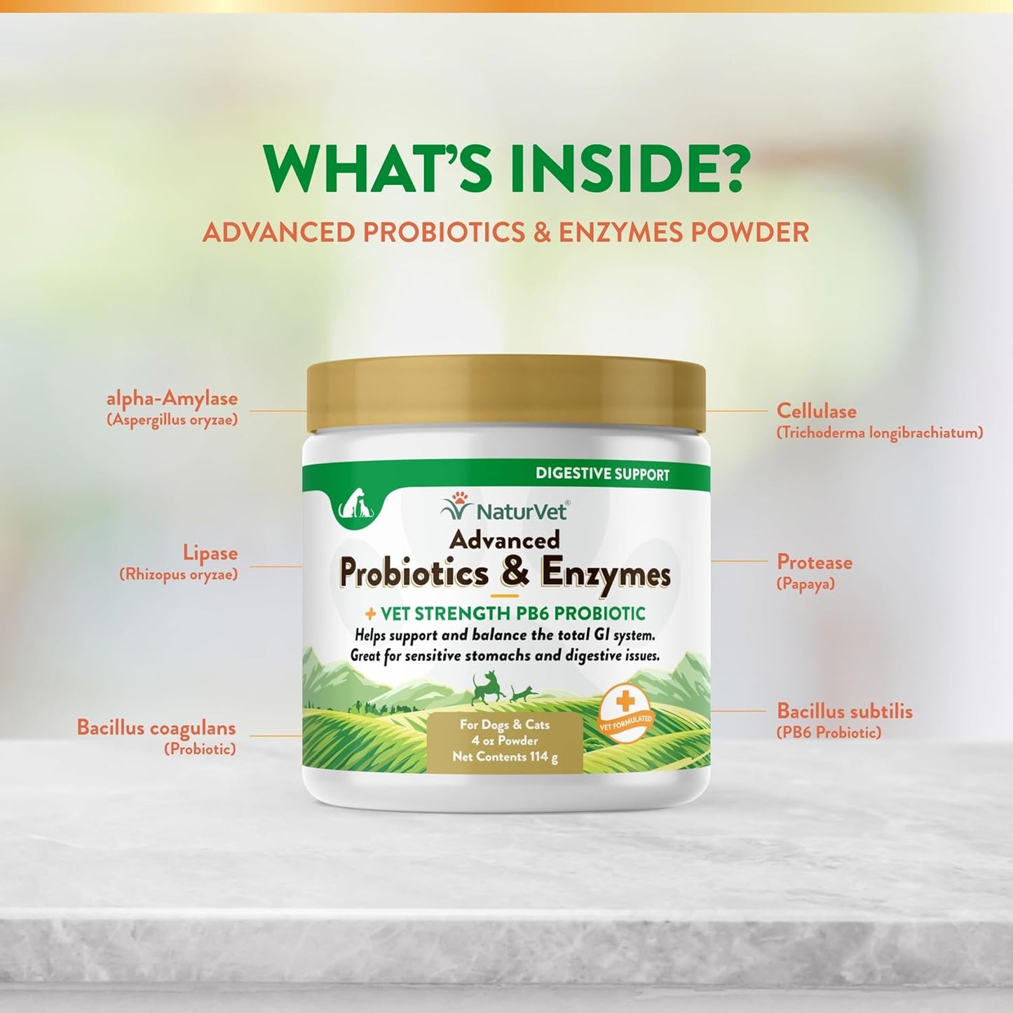 Advanced Probiotics & Enzymes for Pets with Sensitive Stomachs - Vet Strength PB6 Probiotic - Supports Digestive Health for Dogs & Cats