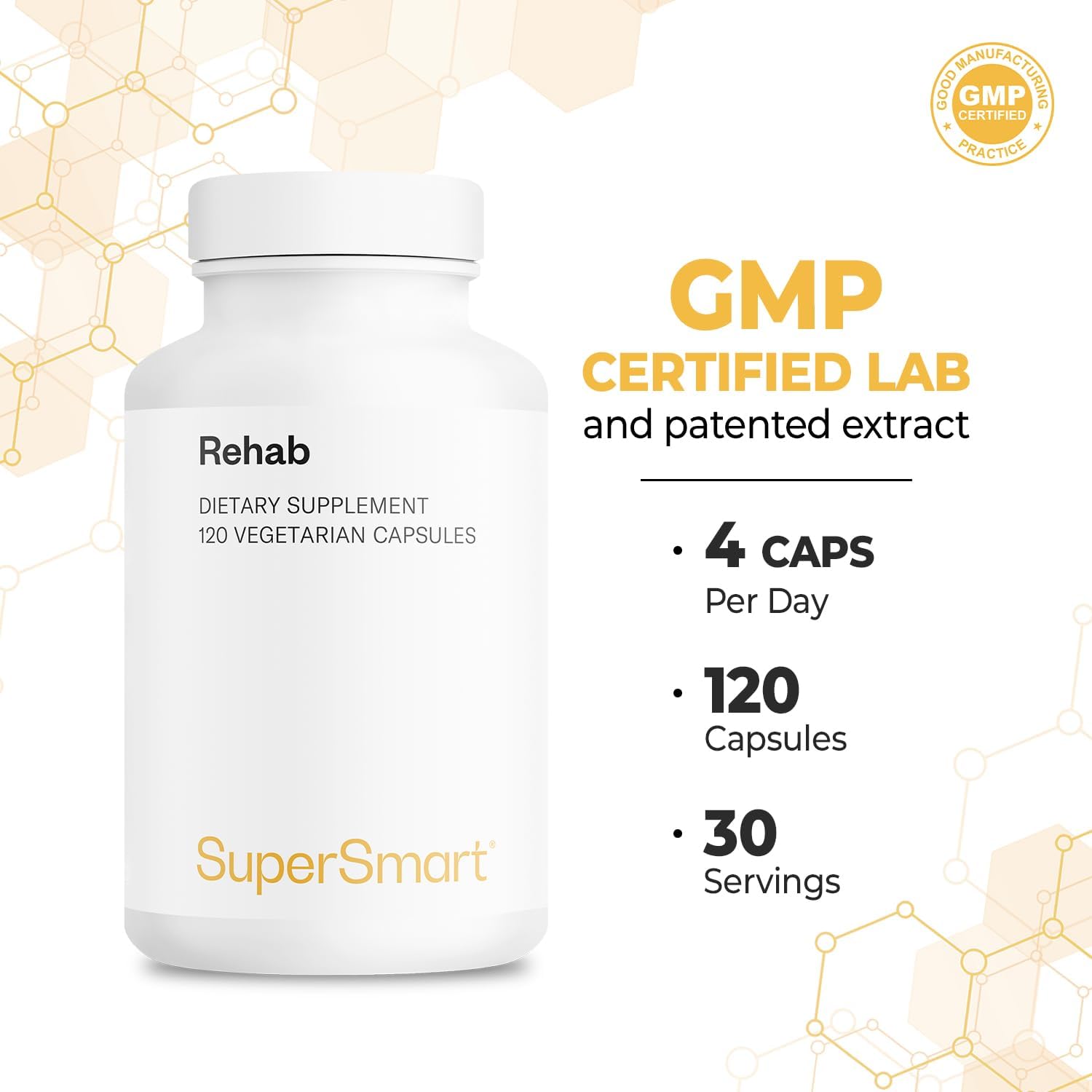 Advanced Rehab Supplement with Kudzu, Silymarin, Ginger Root, Benfotiamine - Non-GMO & Gluten Free - 120 Capsules