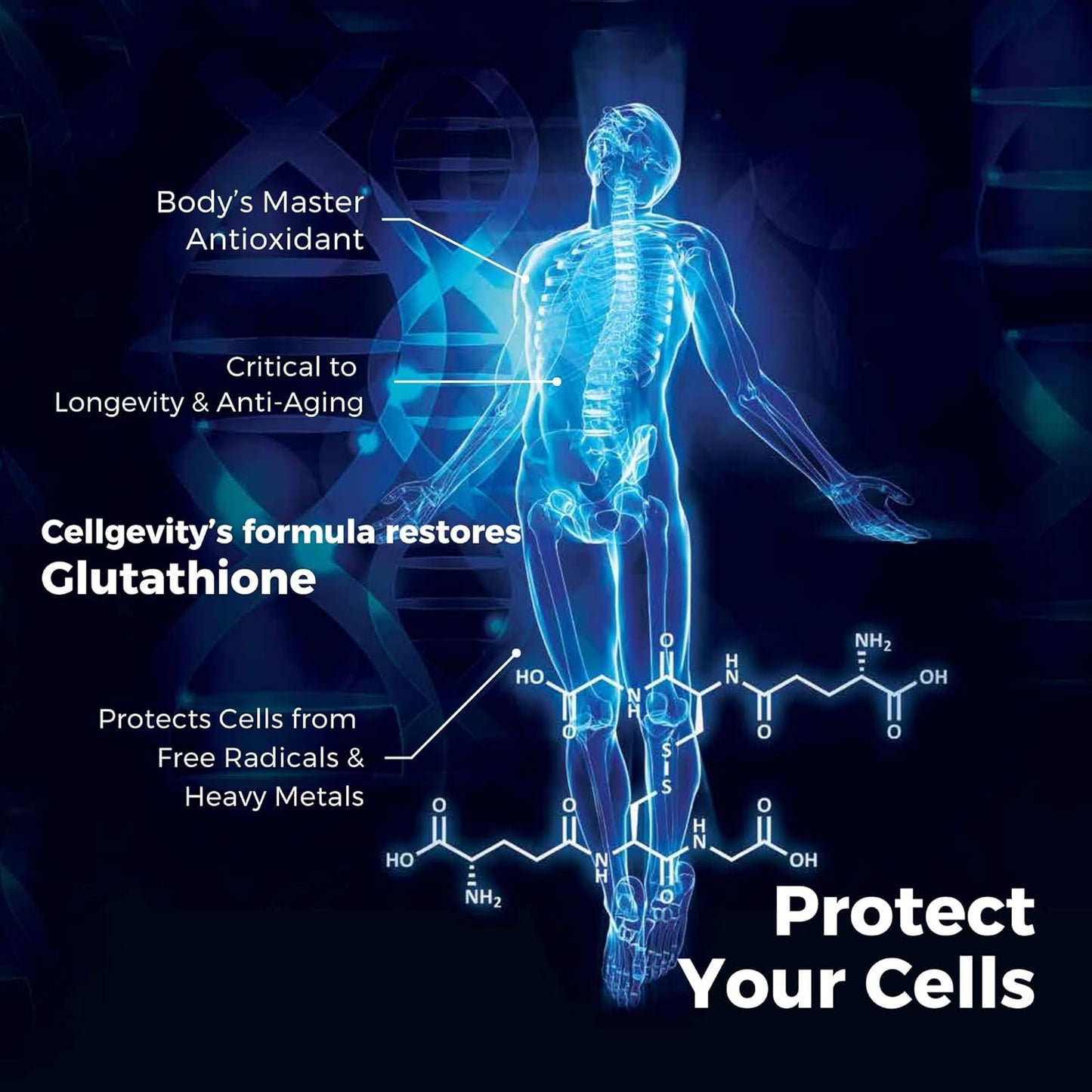 Advanced Riboceine Technology in CELLGEVITY - 120 Vegetable Capsules, 60 Servings