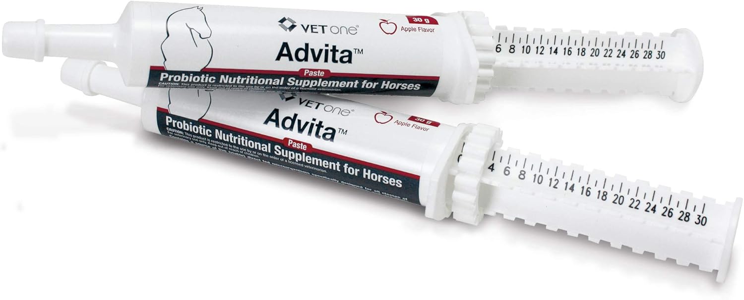 Advita™ Apple Flavored Probiotic Paste for Horses - 30g Tube | Enhance Digestion with Horse Probiotic Supplement