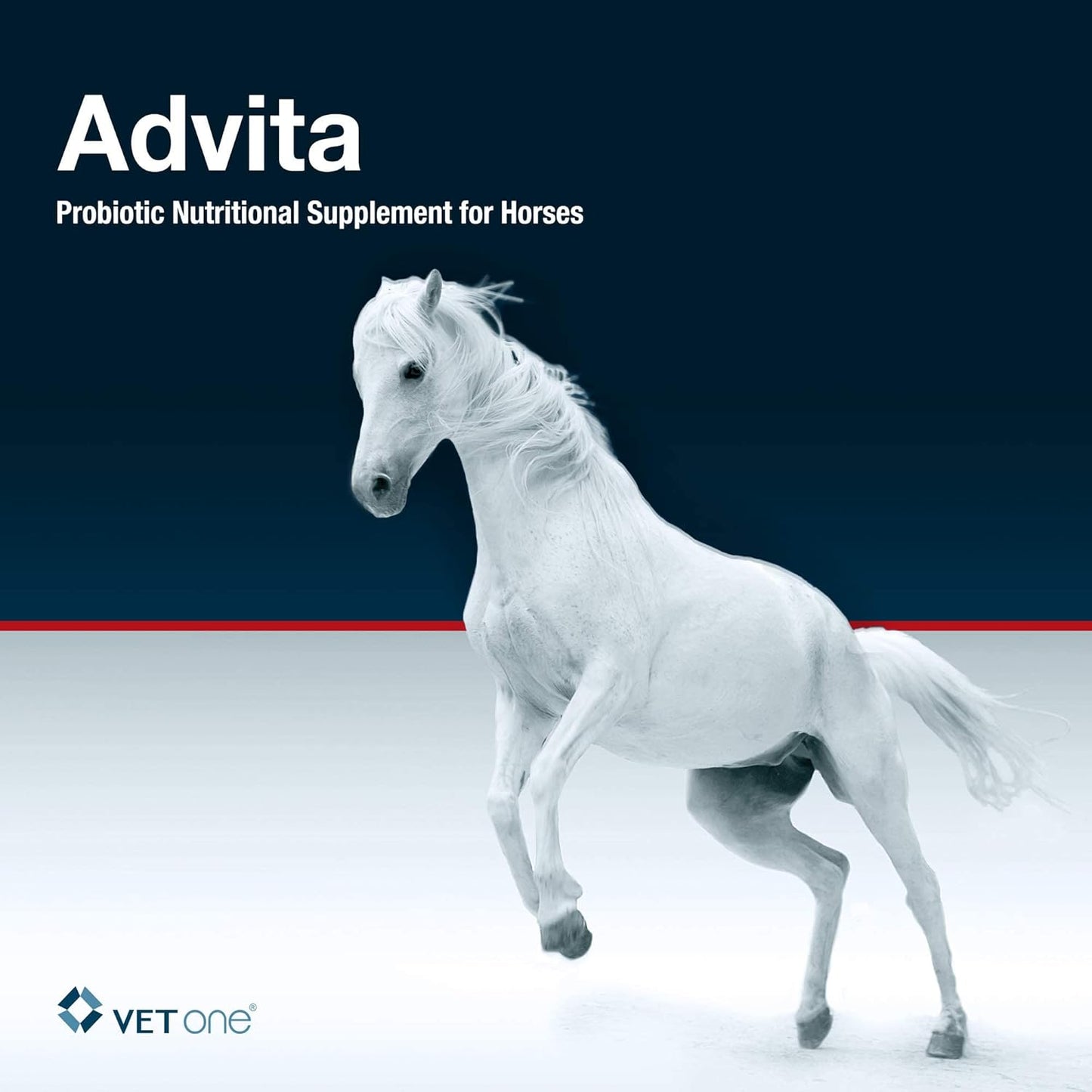 Advita™ Apple Flavored Probiotic Paste for Horses - 30g Tube | Enhance Digestion with Horse Probiotic Supplement