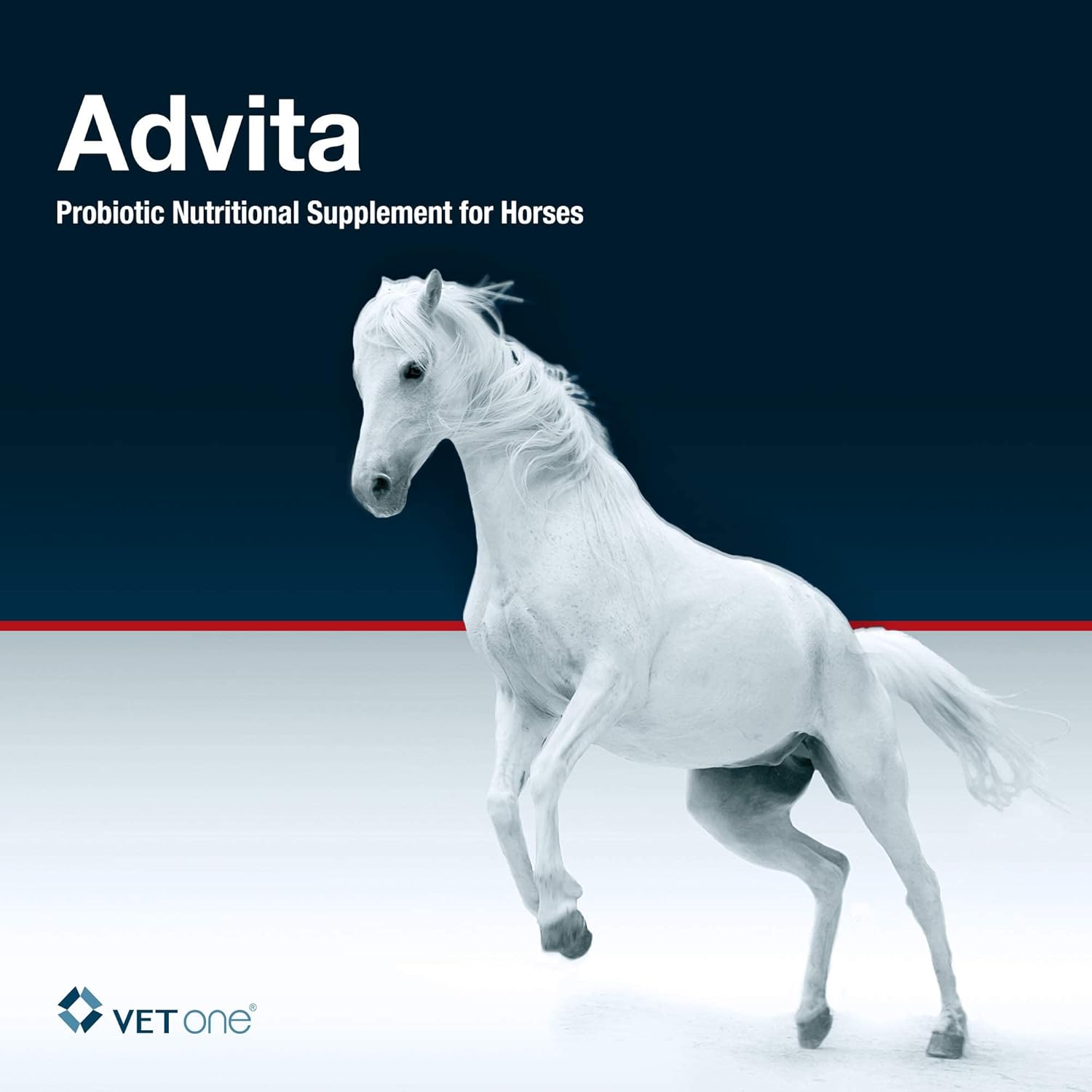 Advita™ Apple Flavored Probiotic Paste for Horses - 30g Tube | Enhance Digestion with Horse Probiotic Supplement