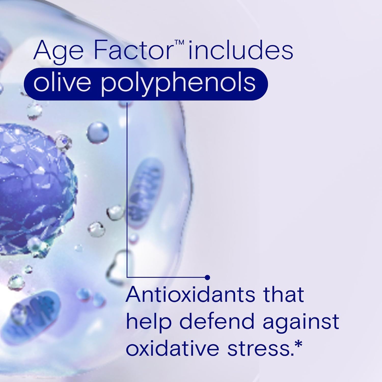 Age Factor Cell Defense: Cell Health Supplement with Olive Polyphenols, Resveratrol, Vitamin B3 - 30 Softgels for Healthy Aging