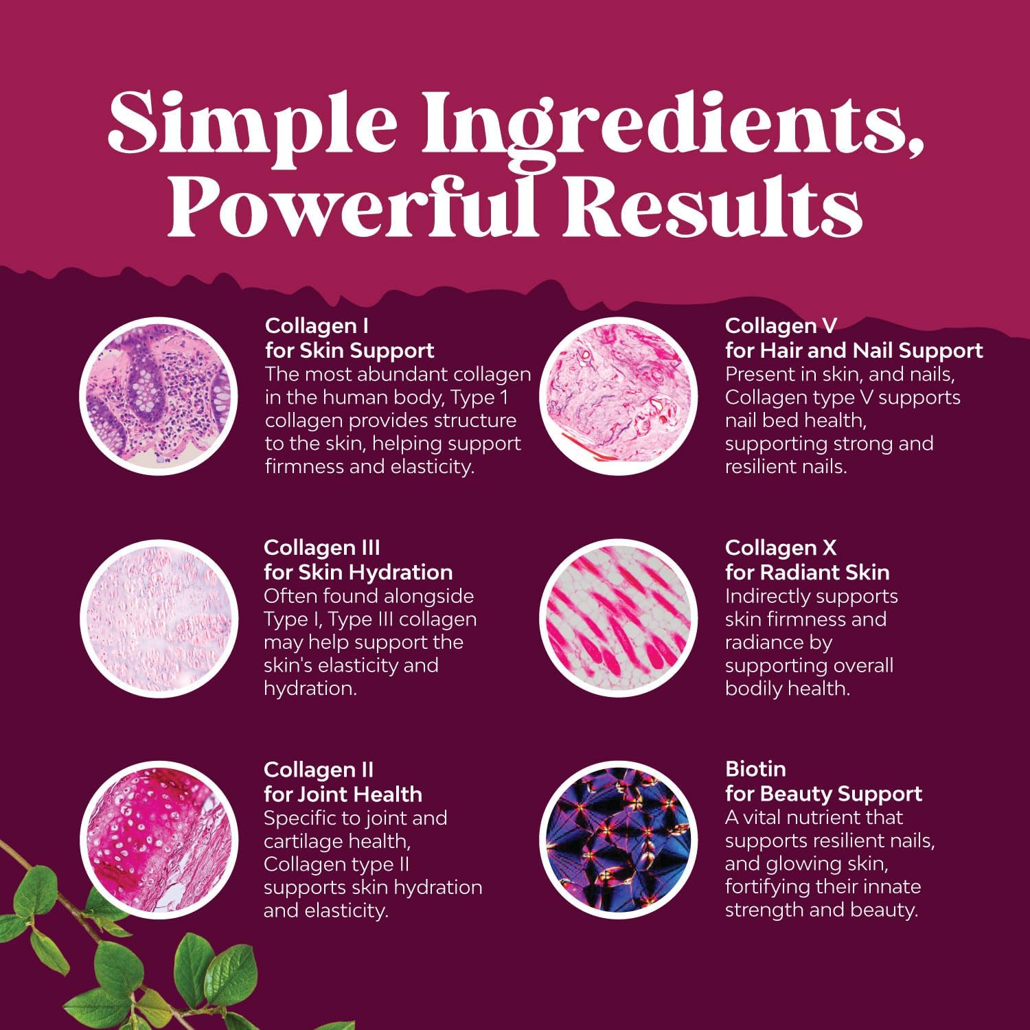 Ageless Multi Collagen Peptides Supplements with Biotin for Hair, Skin, and Nails - Type 1, 2, 3, 5 & X - 90 Count