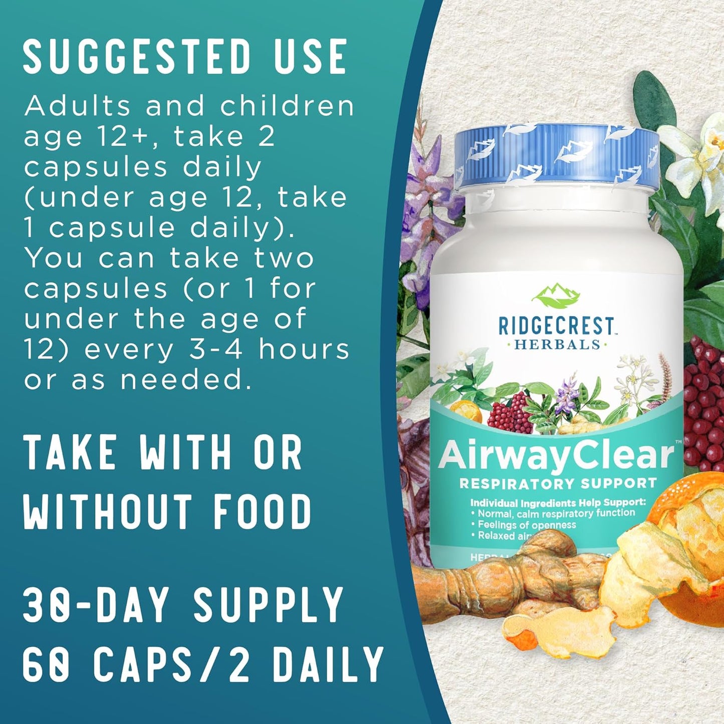 AirwayClear Lung Health Supplement with Schisandra Fruit, Cassia Bark, and Ginger Root - Sinus and Mucus Support - 60 Vegan Capsules