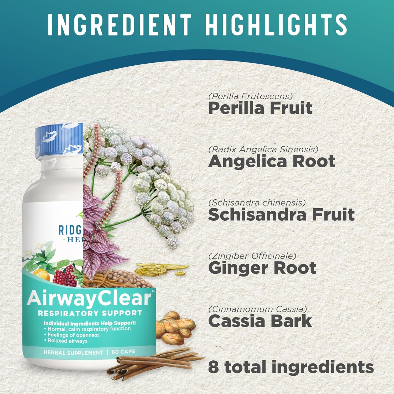 AirwayClear Lung Health Supplement with Schisandra Fruit, Cassia Bark, and Ginger Root - Sinus and Mucus Support - 60 Vegan Capsules