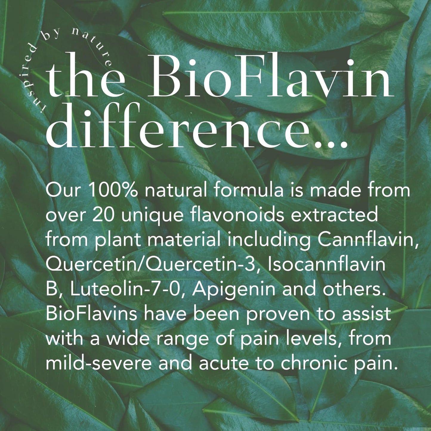 AJA REPAIR Mist - Organic BioFlavins Skin Soothing Spray for Irritations - 8 Ounce