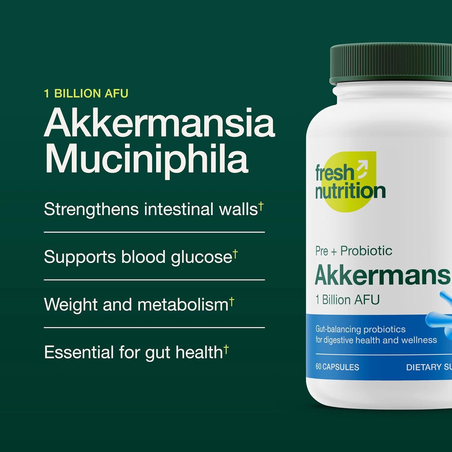 Akkermansia Muciniphila Probiotic Capsules - Boost GLP-1 Production - 1 Billion AFU - Pre + Probiotic Supplement - 60 Count