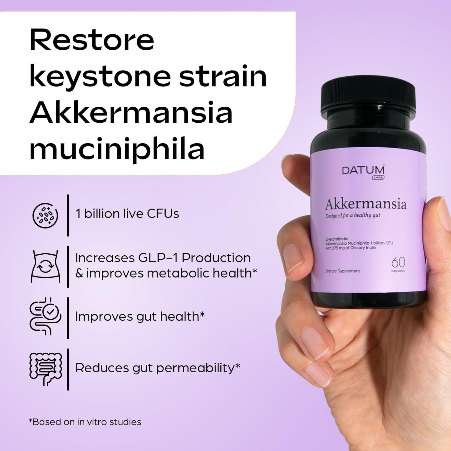 Akkermansia Muciniphila Probiotic + Prebiotic Supplement - Boosts GLP-1, Delayed Release, Third-Party Tested - 1Bn CFU (60 Capsules)