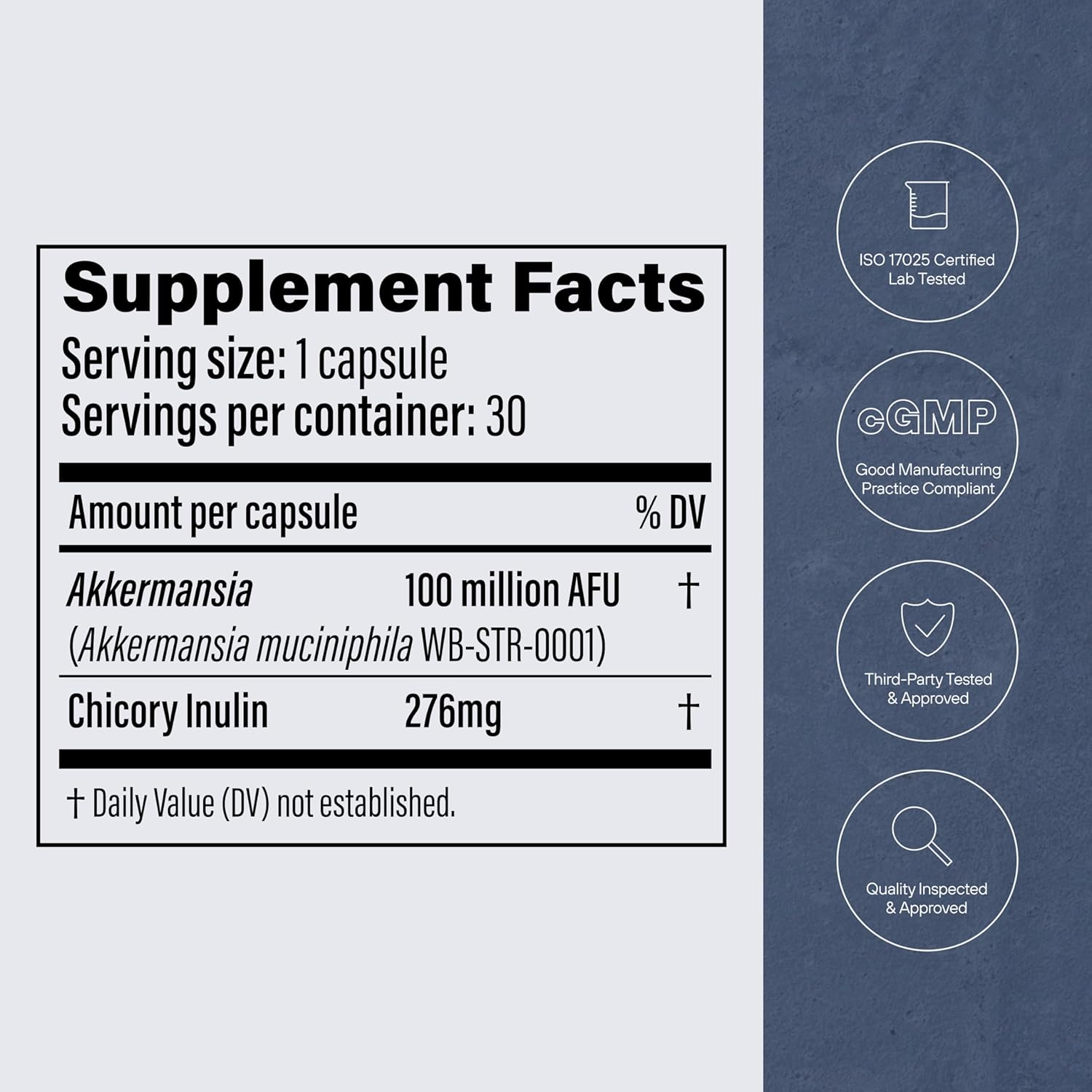 Akkermansia Probiotic Capsules with Prebiotic Fiber - Boosts GLP-1, Delayed Release, Third-Party Tested, 100M AFU Live Strain - Gut Health for Men & Women - 30 Capsules
